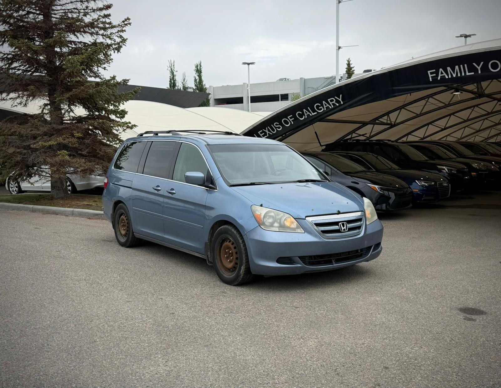Blue 2006 Honda Odyssey EX-L FWD with DVD Minivan Front-Wheel Drive 5-Speed Automatic