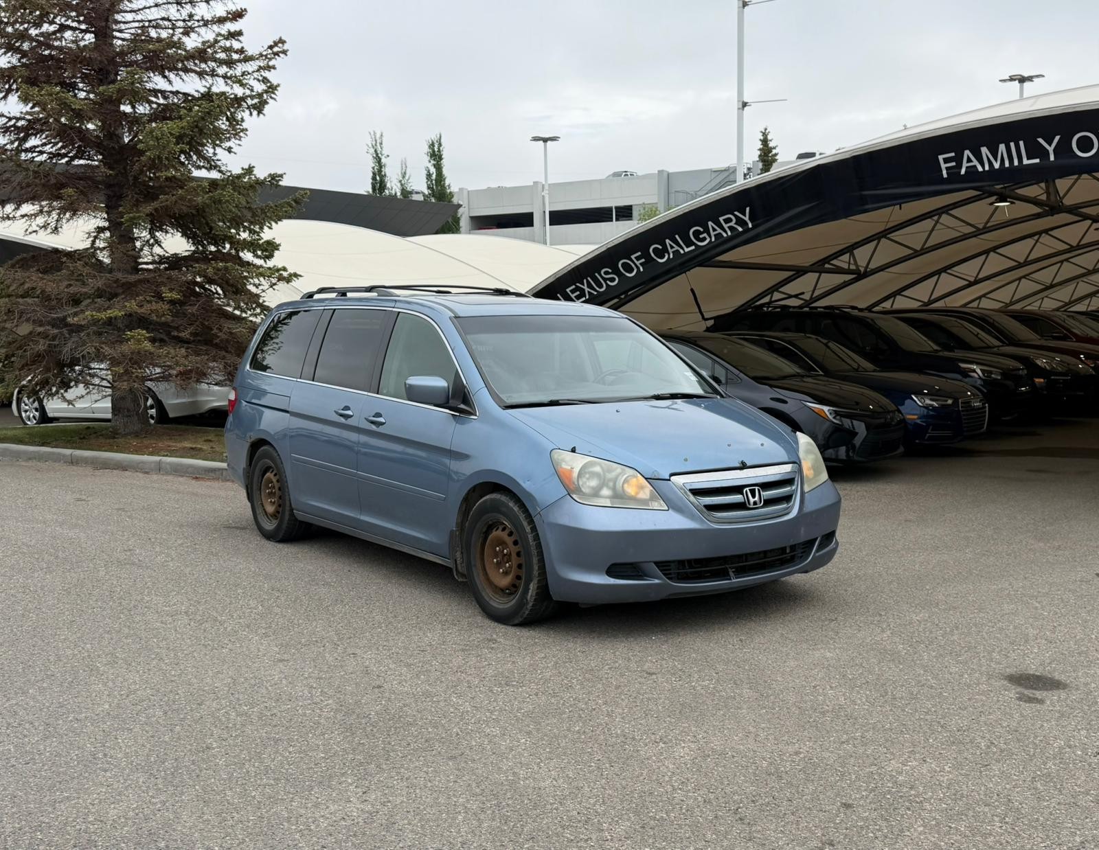 Blue 2006 Honda Odyssey EX-L FWD with DVD Minivan Front-Wheel Drive 5-Speed Automatic