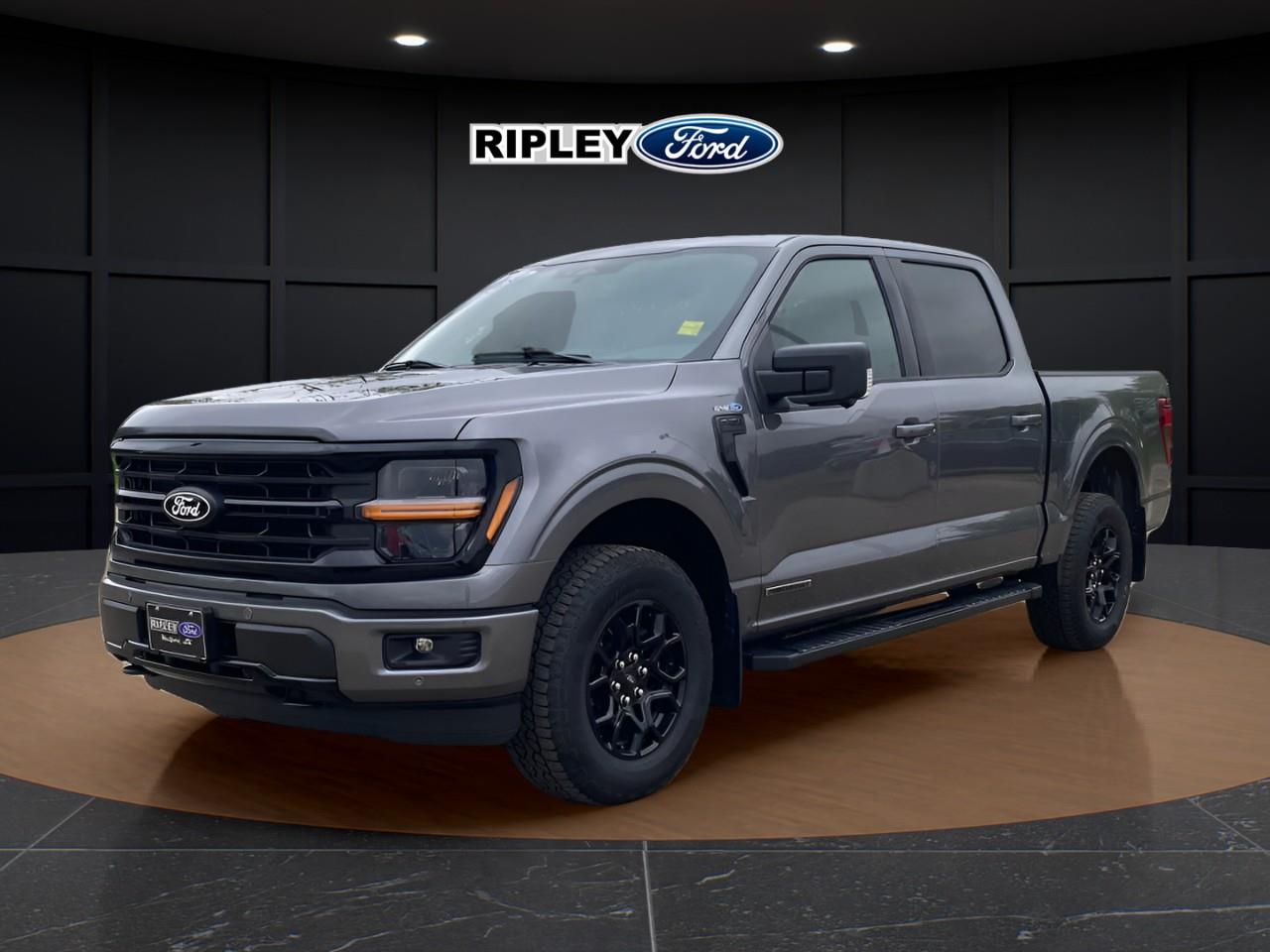 Gray 2025 Ford F-150 XLT SuperCrew 4WD Pickup Truck Four-Wheel Drive Automatic