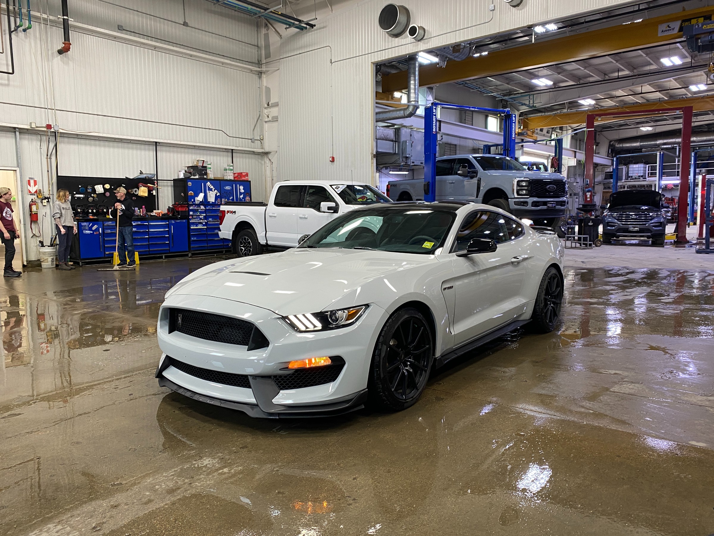 2017 Ford Mustang Shelby GT350