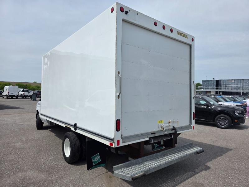 Ford Série E (Econoline) 2025