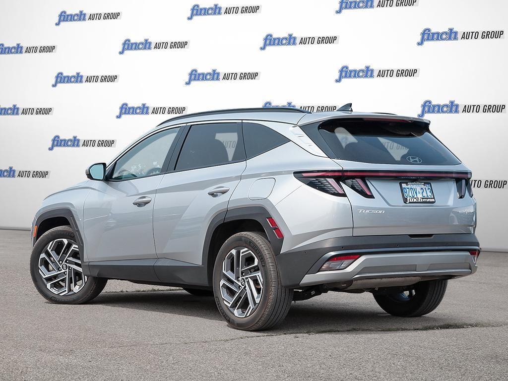 used 2025 Hyundai Tucson Hybrid car, priced at $50,311
