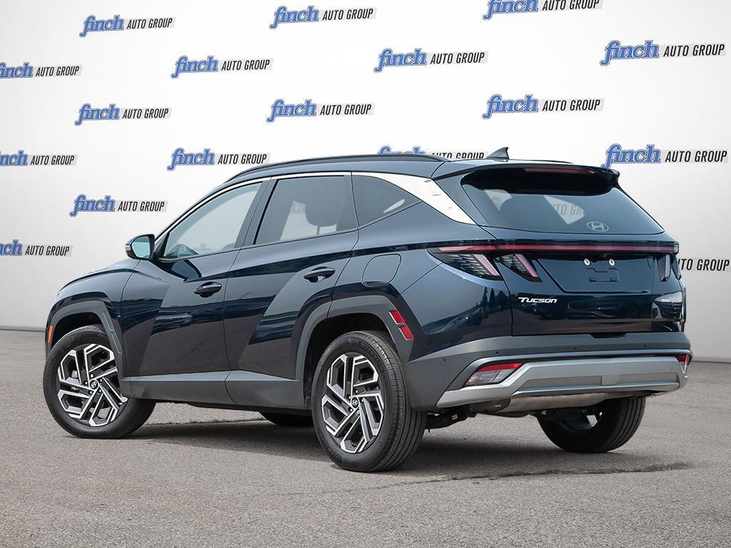 used 2025 Hyundai Tucson Hybrid car, priced at $50,563