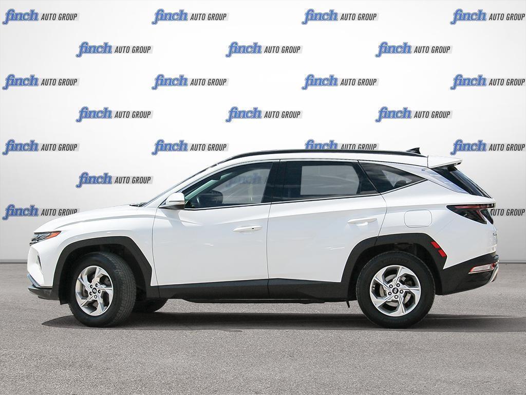 used 2024 Hyundai Tucson car, priced at $28,597