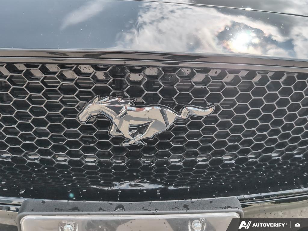 used 2022 Ford Mustang car, priced at $54,900