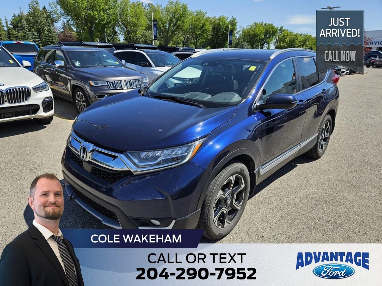 Blue 2019 Honda CR-V SUV / Crossover All-Wheel Drive Continuously Variable Transmission