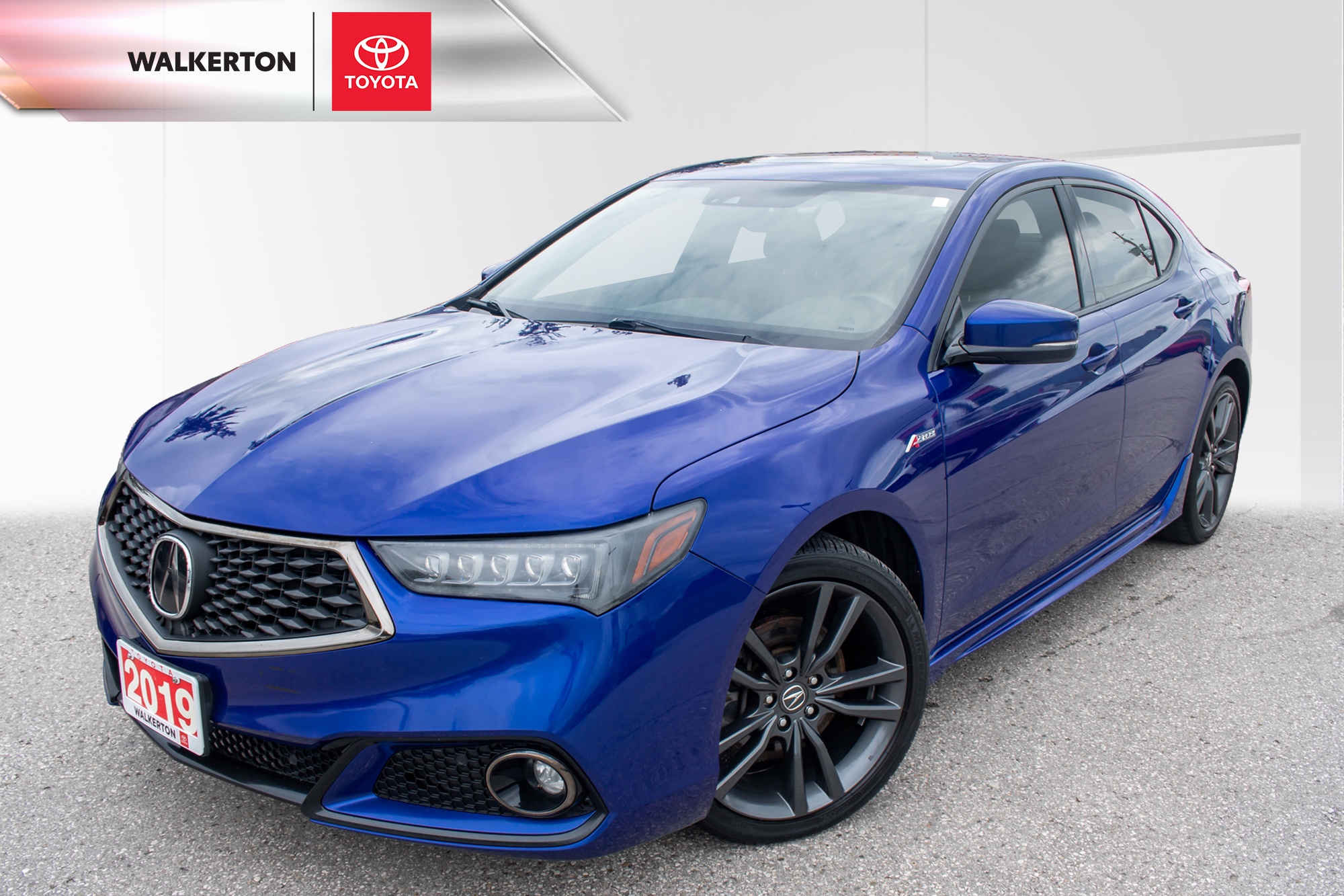 Blue 2019 Acura TLX Sedan 9-Speed Automatic