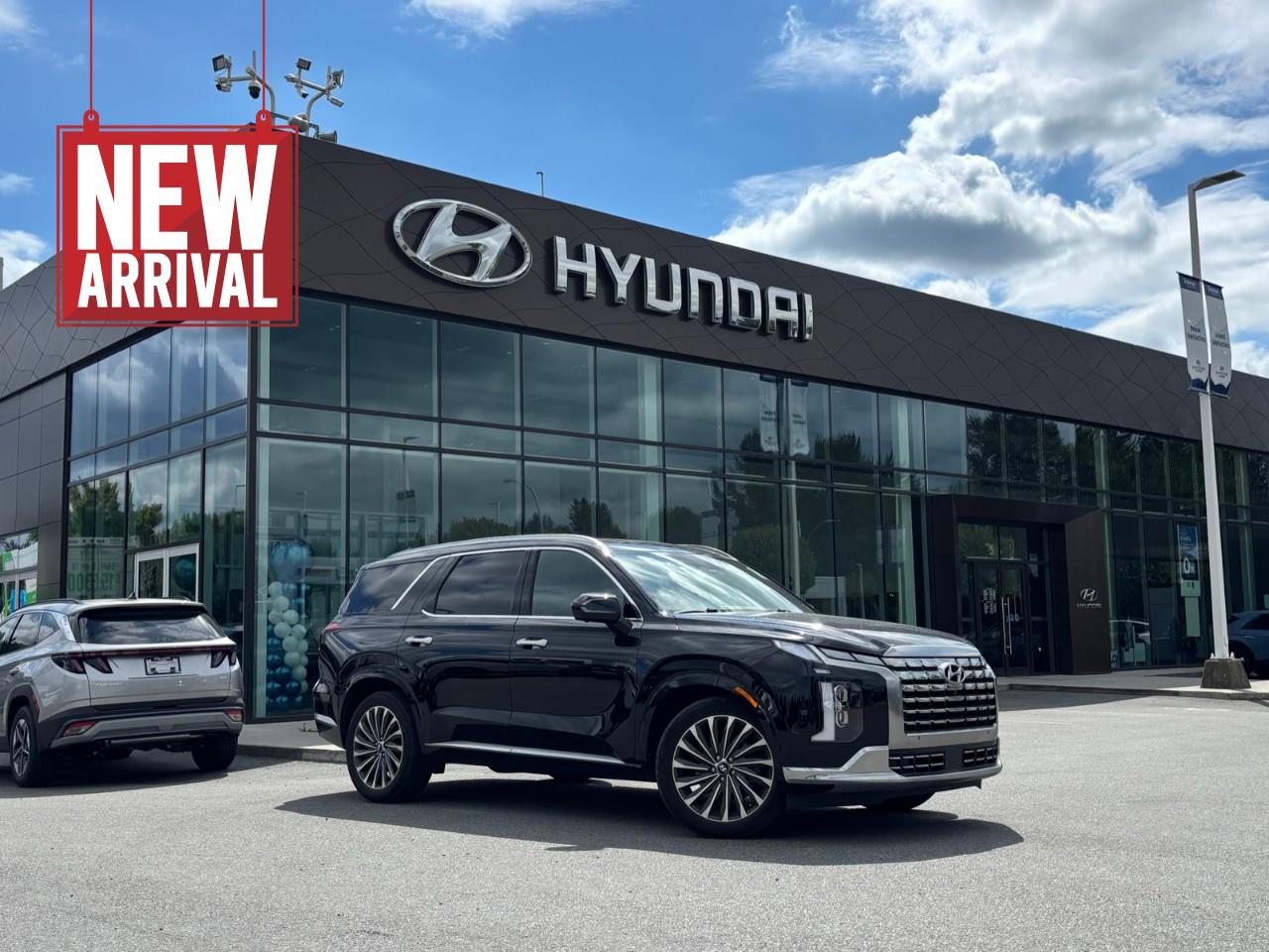 Black 2024 Hyundai Palisade SUV / Crossover 8-Speed Automatic