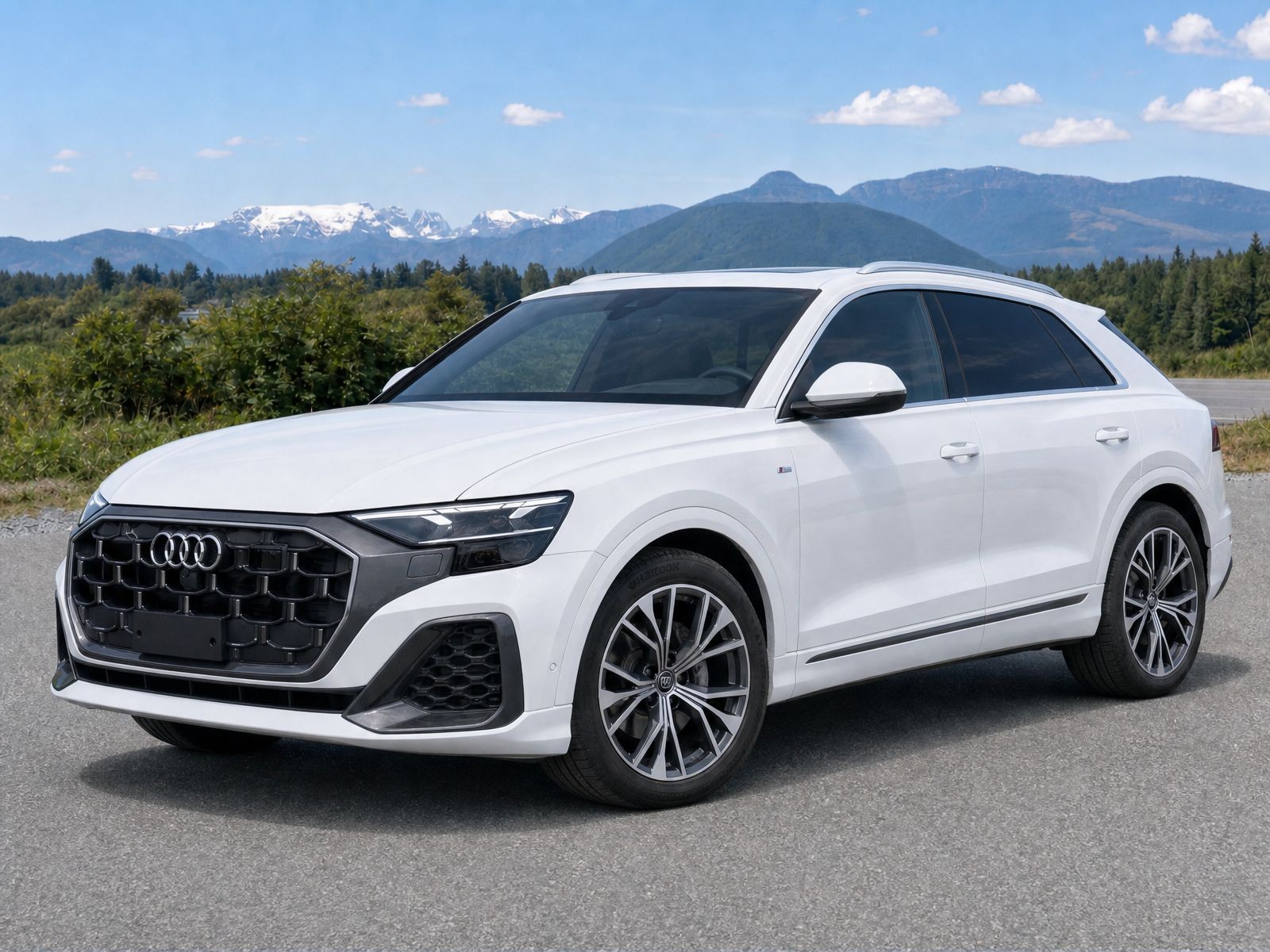 2025 Audi Q8 quattro Progressiv 55 TFSI