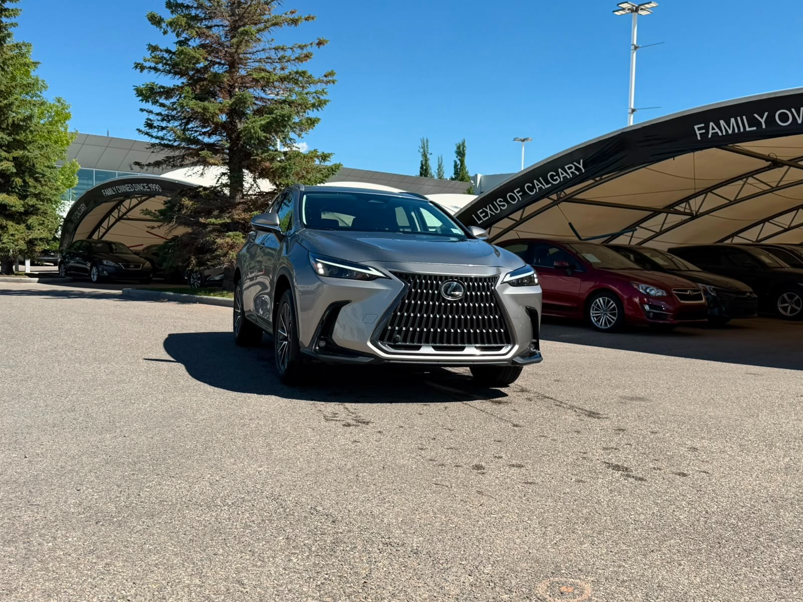 Silver 2025 Lexus NX Hybrid SUV / Crossover Continuously Variable Transmission