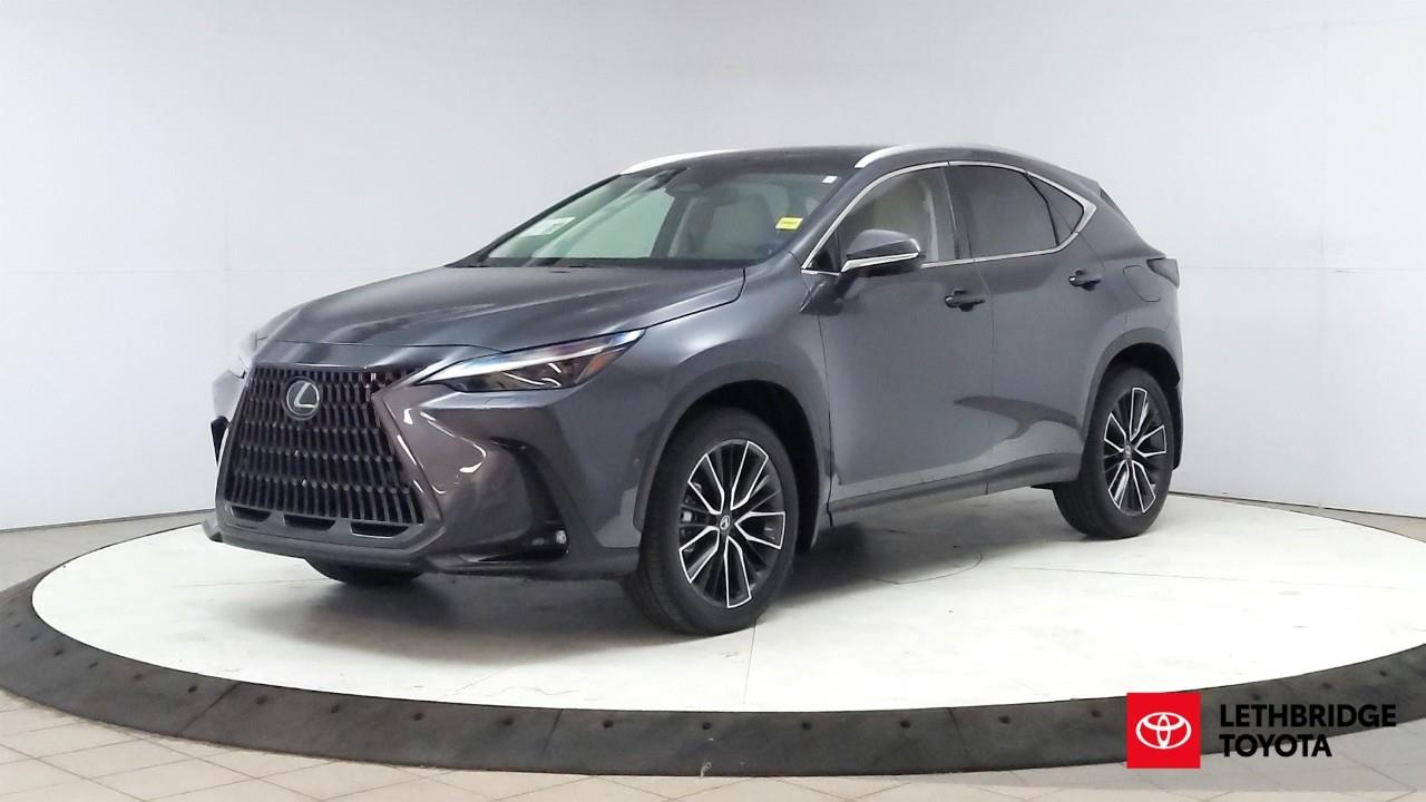 Gray 2026 Lexus NX Hybrid SUV / Crossover 8-Speed Automatic