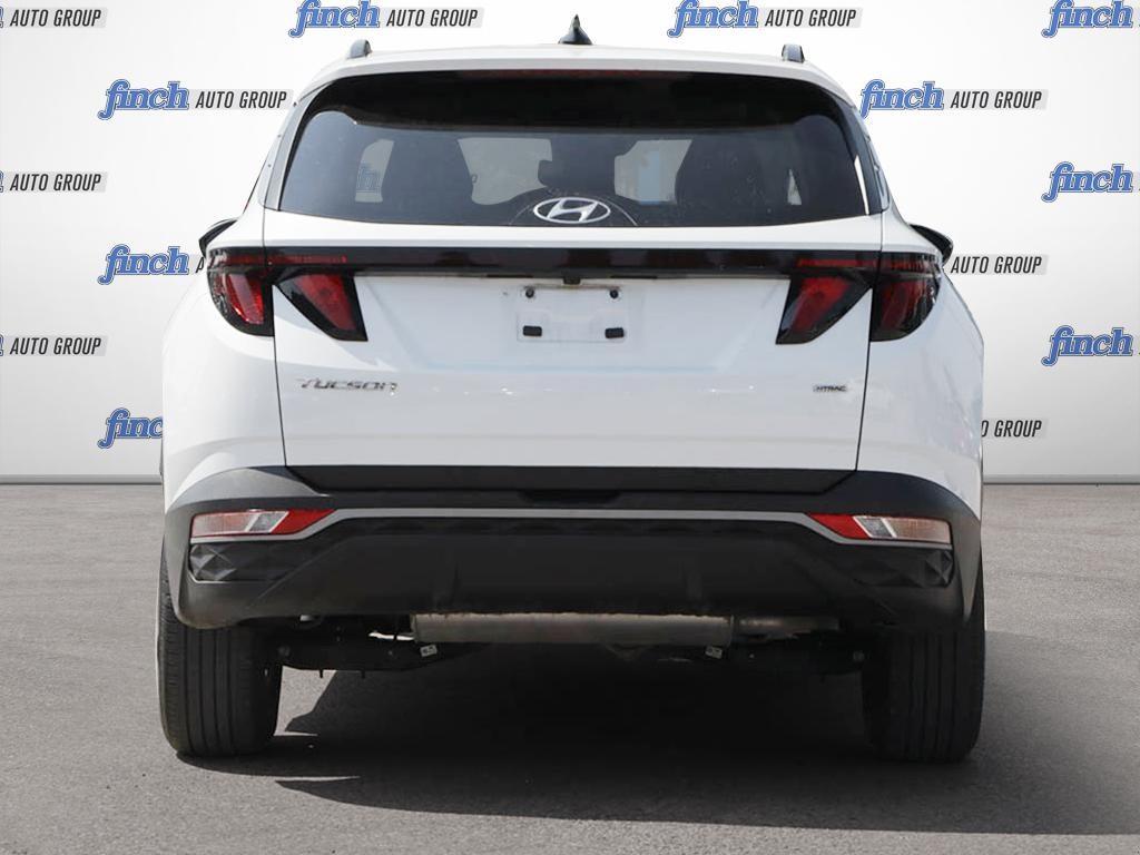 used 2024 Hyundai Tucson car, priced at $30,597
