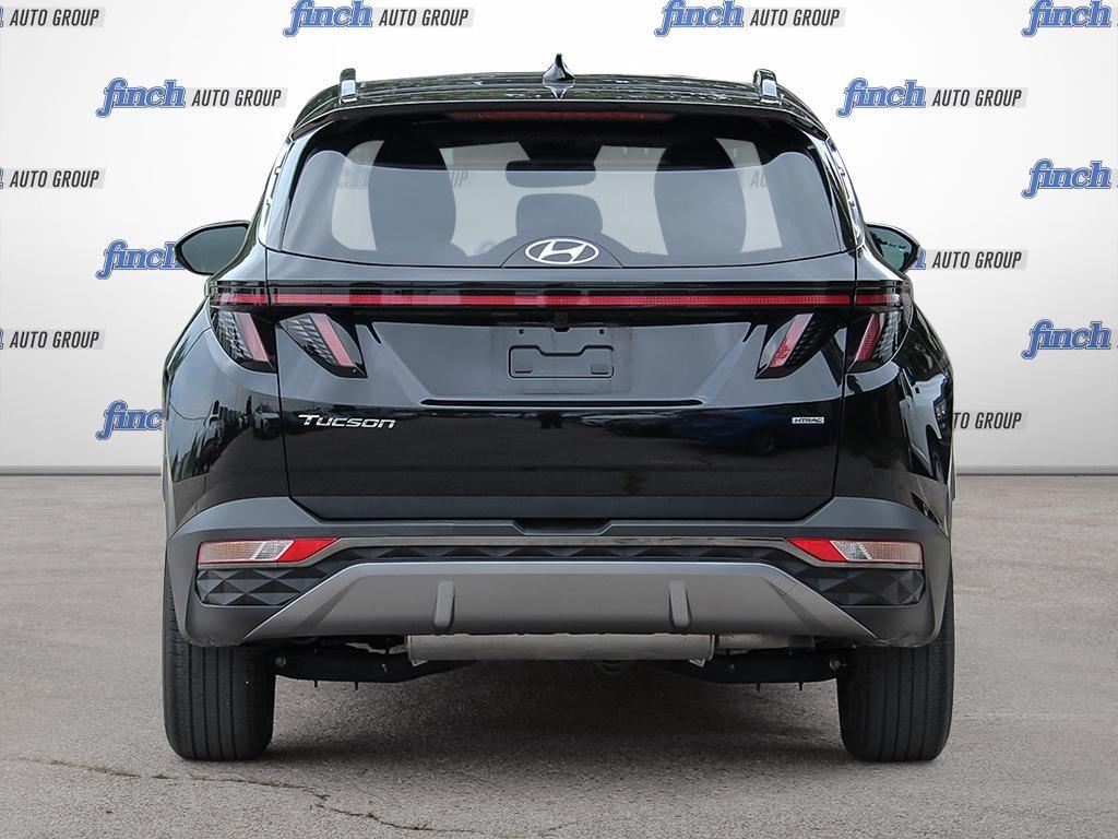 used 2024 Hyundai Tucson car, priced at $34,697