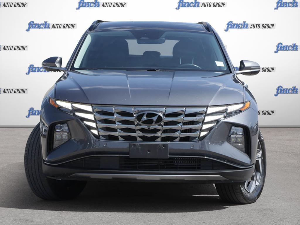 used 2024 Hyundai Tucson Hybrid car