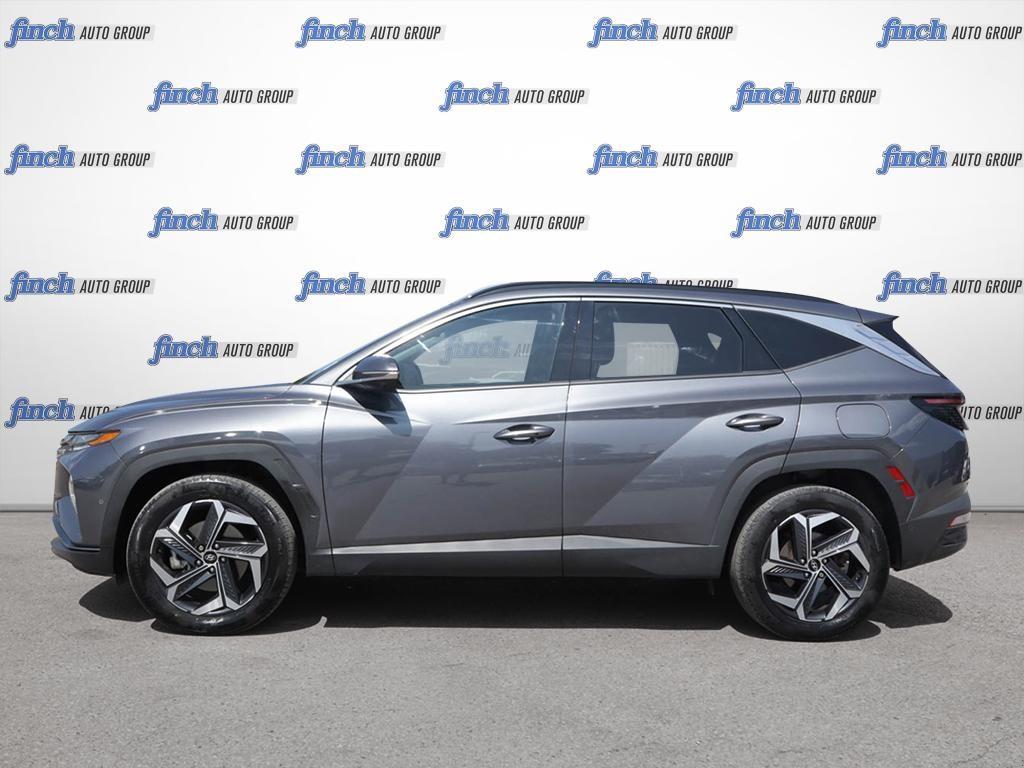 used 2024 Hyundai Tucson Hybrid car