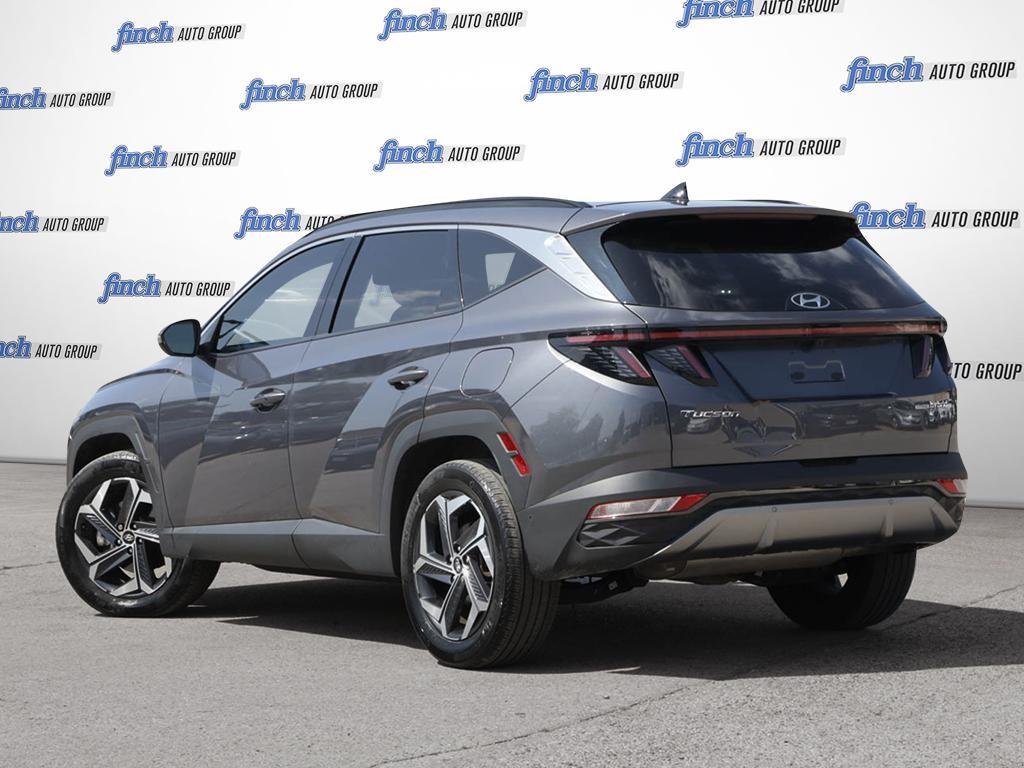 used 2024 Hyundai Tucson Hybrid car