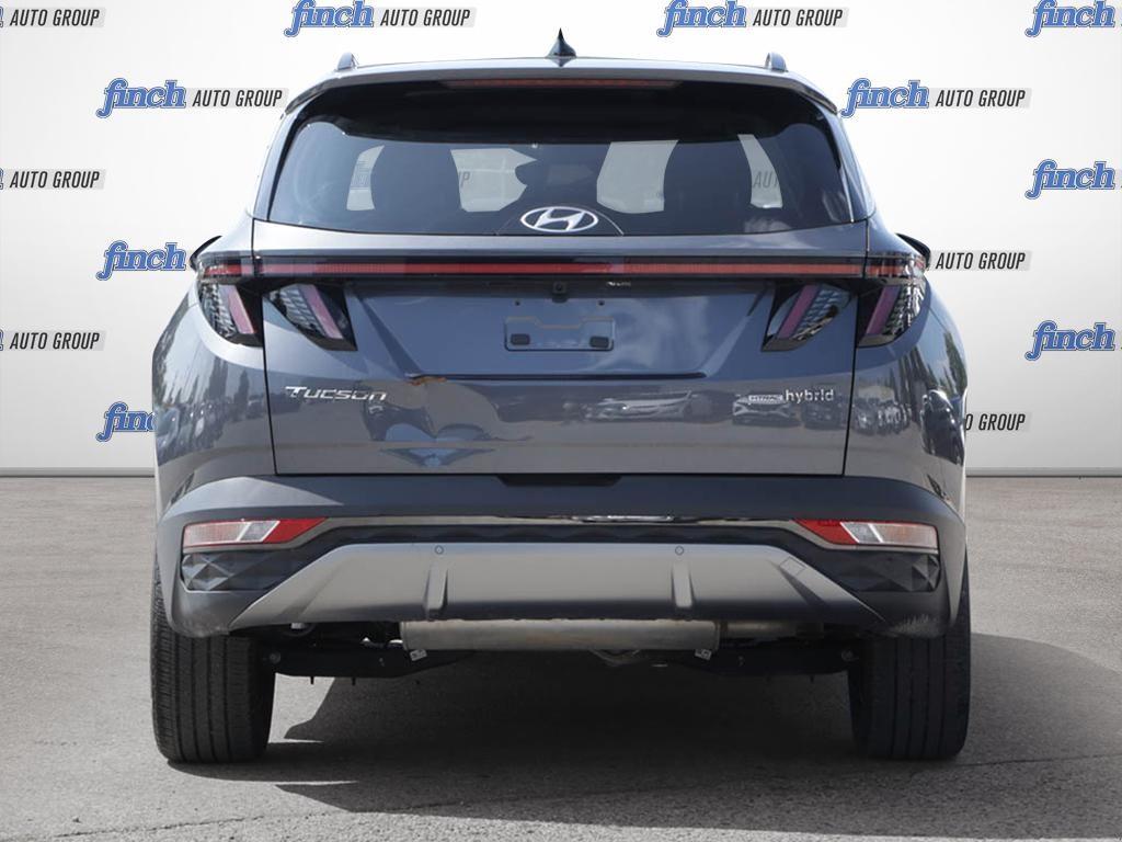 used 2024 Hyundai Tucson Hybrid car