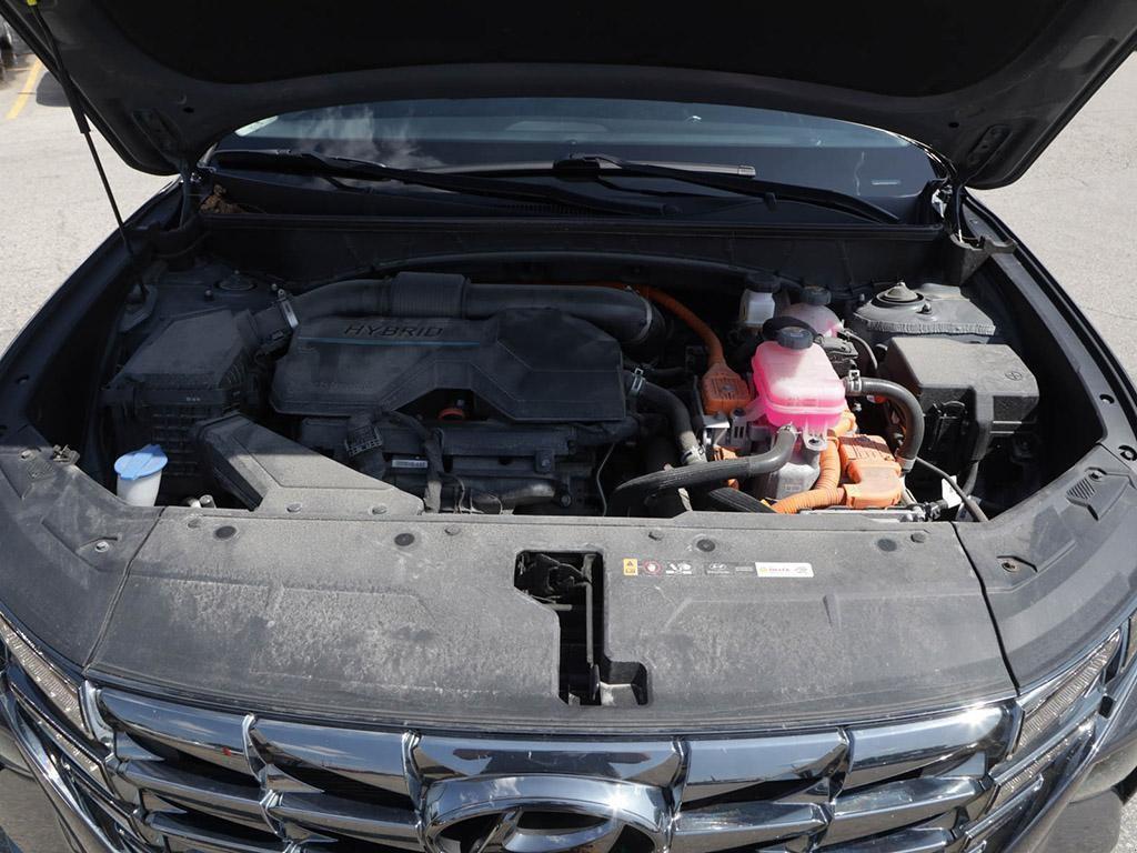used 2024 Hyundai Tucson Hybrid car