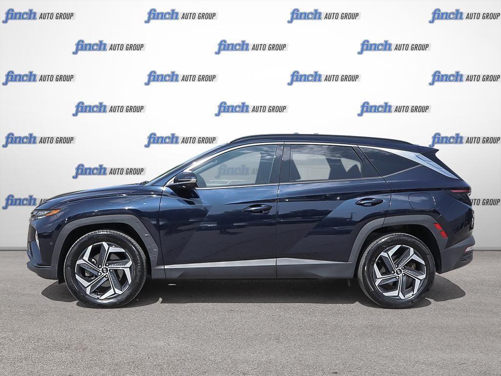 used 2024 Hyundai Tucson Hybrid car
