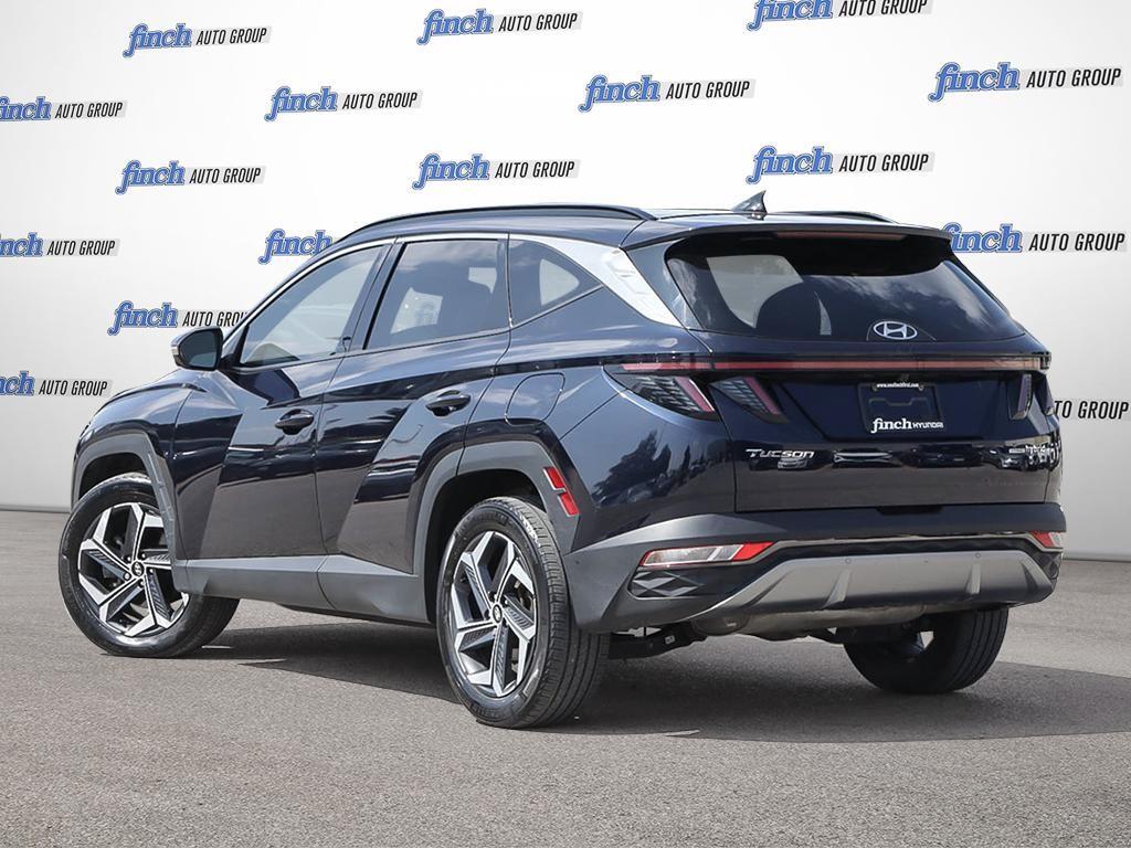 used 2024 Hyundai Tucson Hybrid car