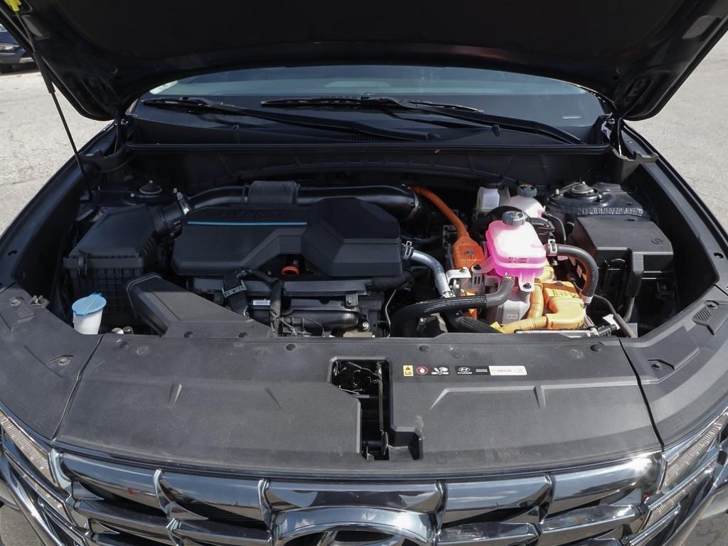 used 2024 Hyundai Tucson Hybrid car