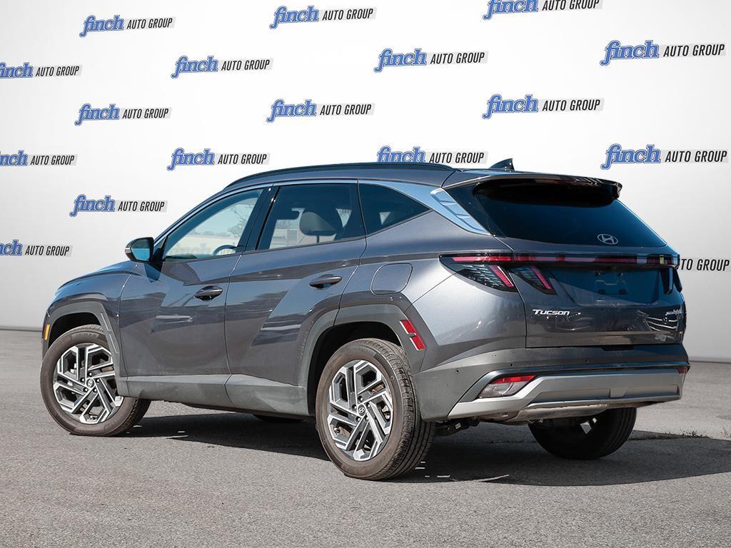 used 2025 Hyundai Tucson Hybrid car, priced at $46,697