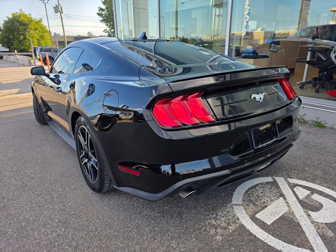 2021 Ford Mustang
