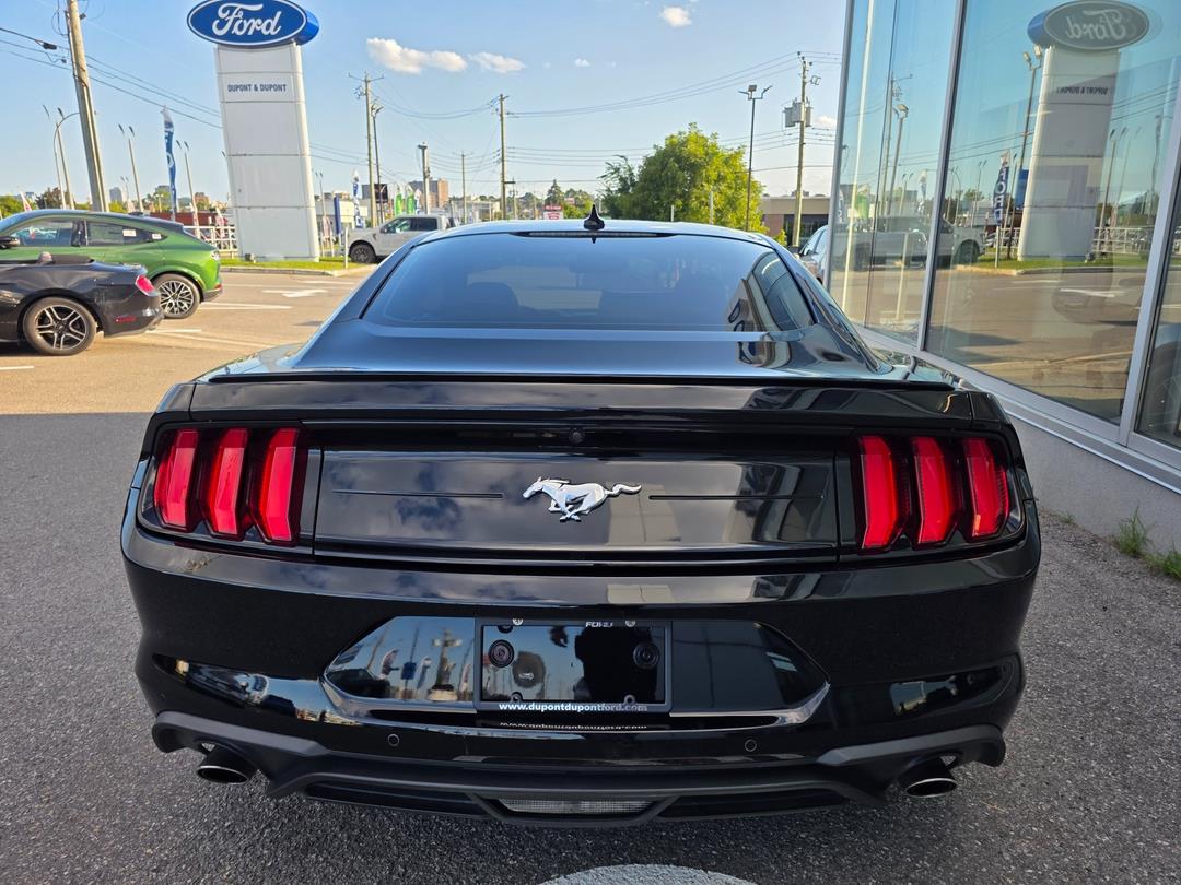 2021 Ford Mustang
