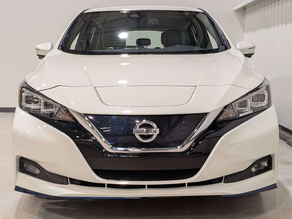 2020 Nissan LEAF