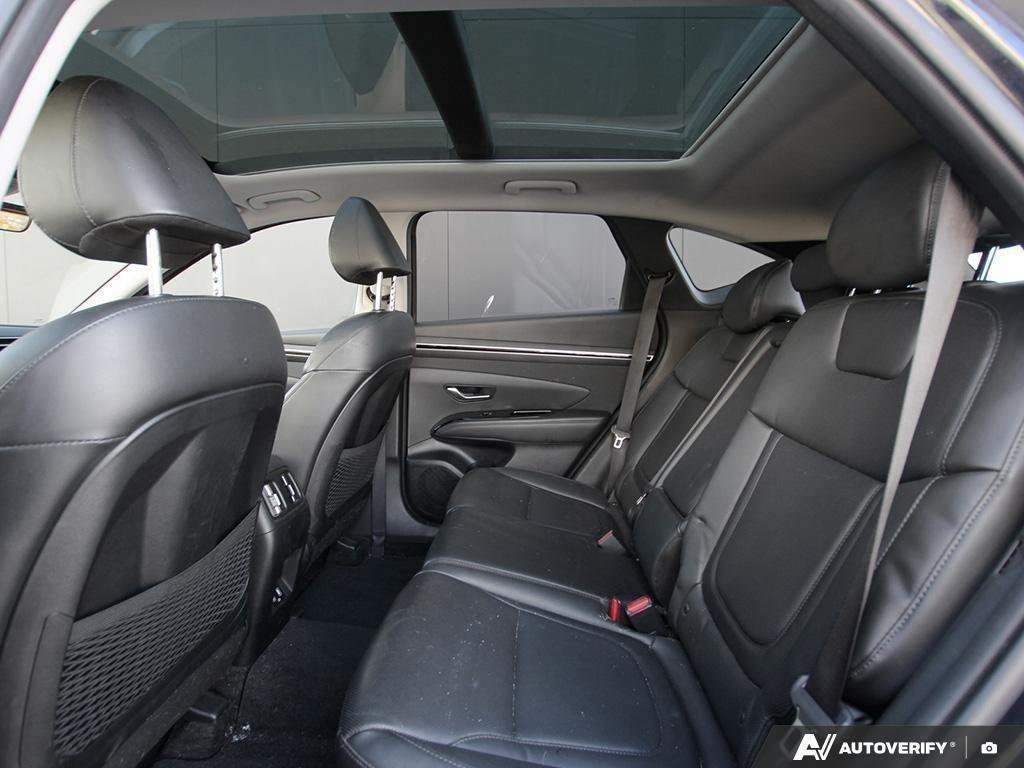 used 2023 Hyundai Tucson Hybrid car, priced at $32,197