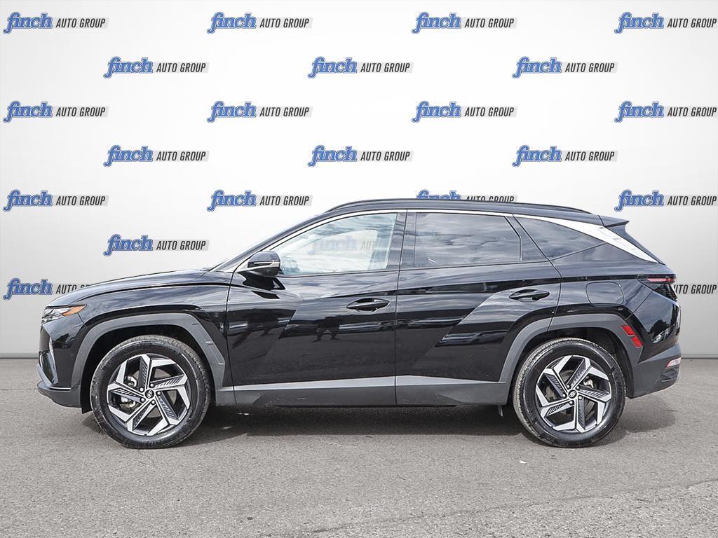 used 2024 Hyundai Tucson Hybrid car, priced at $37,194