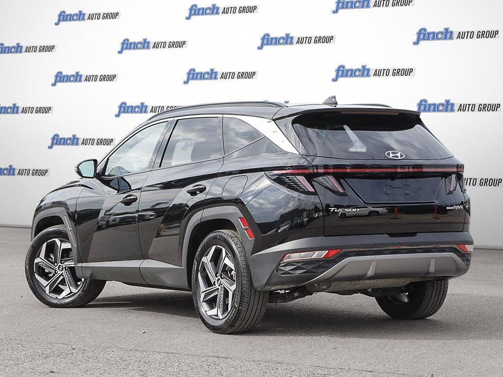 used 2024 Hyundai Tucson Hybrid car, priced at $37,194