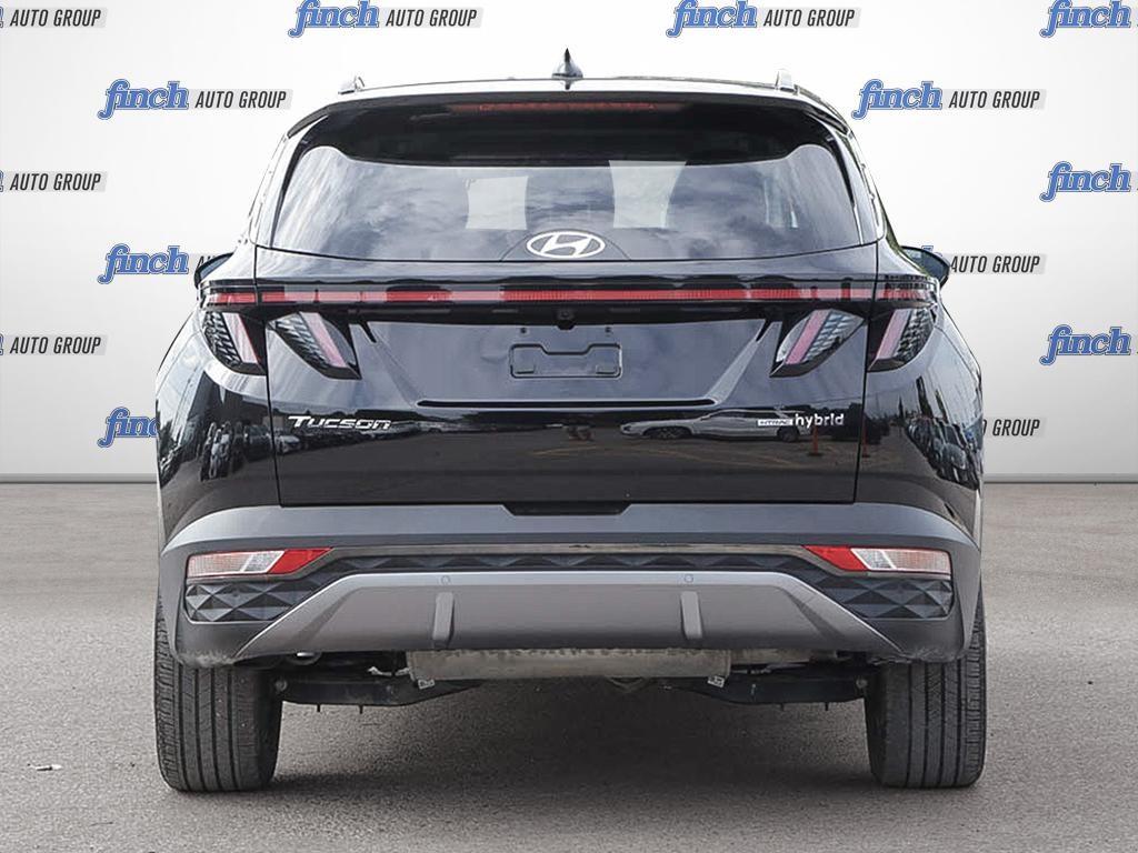 used 2024 Hyundai Tucson Hybrid car, priced at $37,194
