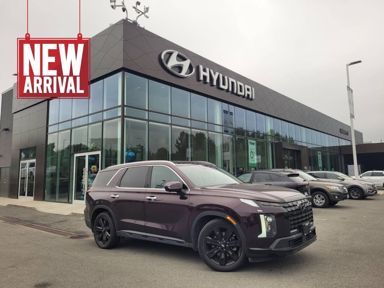 Gray 2023 Hyundai Palisade SUV / Crossover  8-Speed Automatic