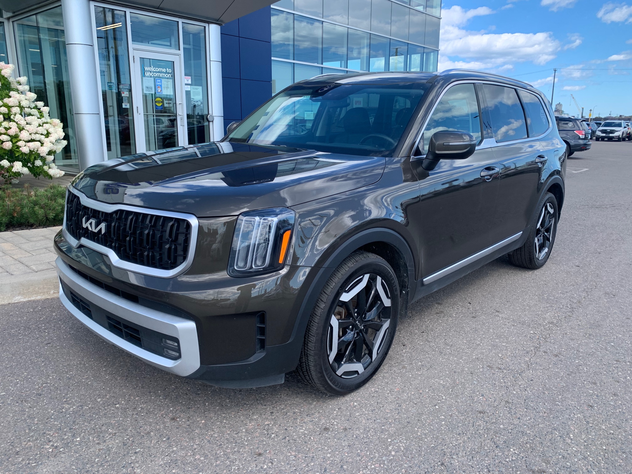 Brown 2024 Kia Telluride SUV / Crossover All-Wheel Drive 8-Speed Automatic