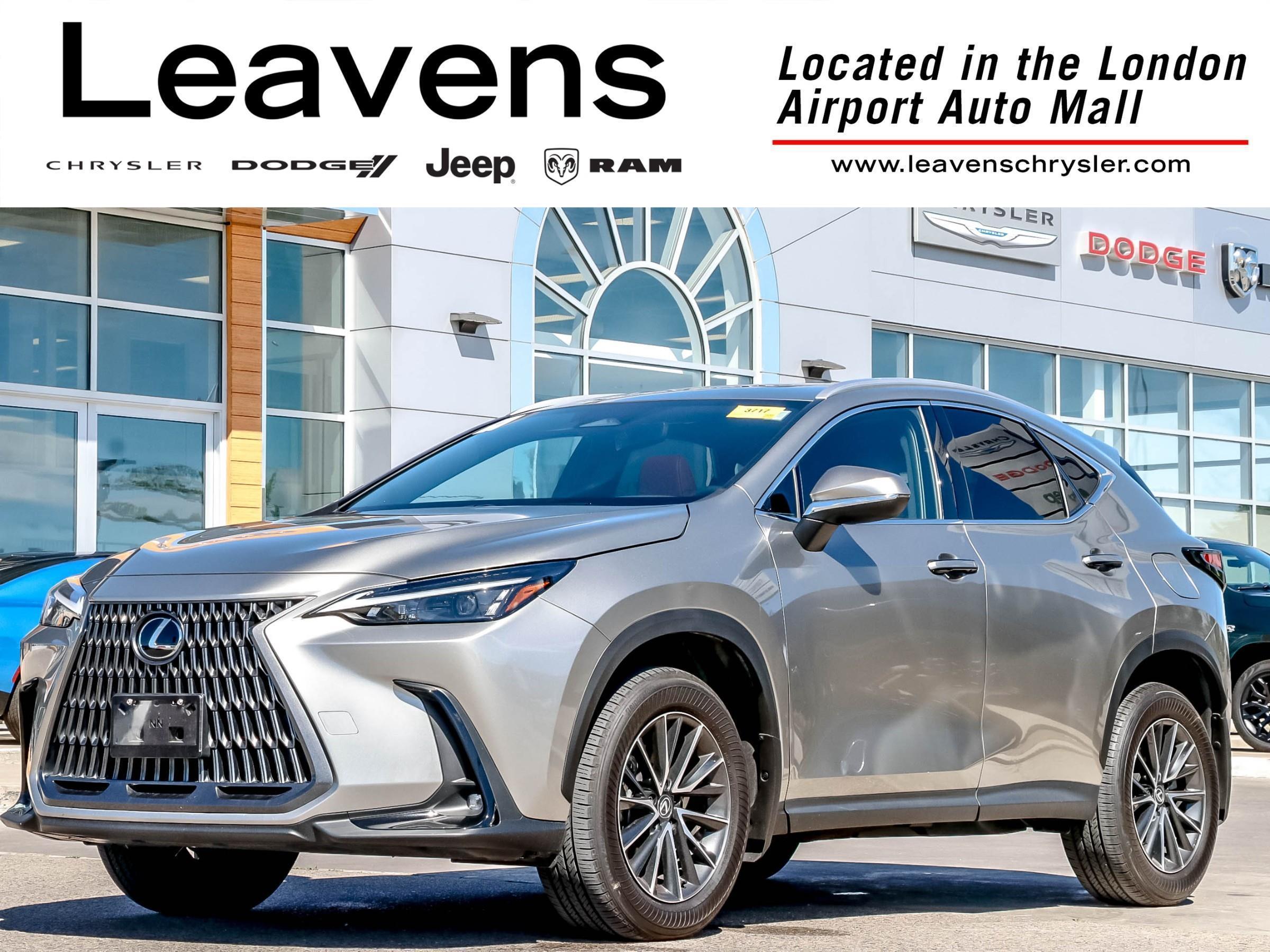 2024 Lexus NX