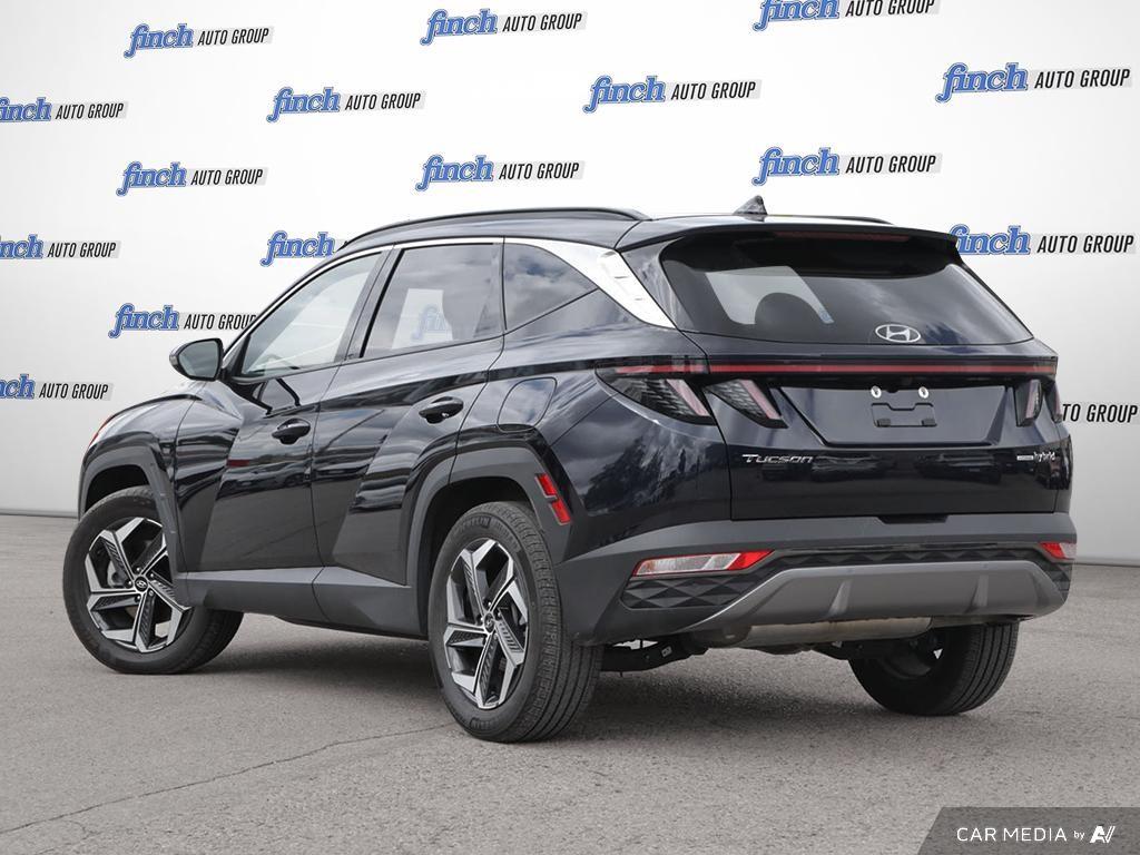 used 2023 Hyundai Tucson Hybrid car, priced at $33,697