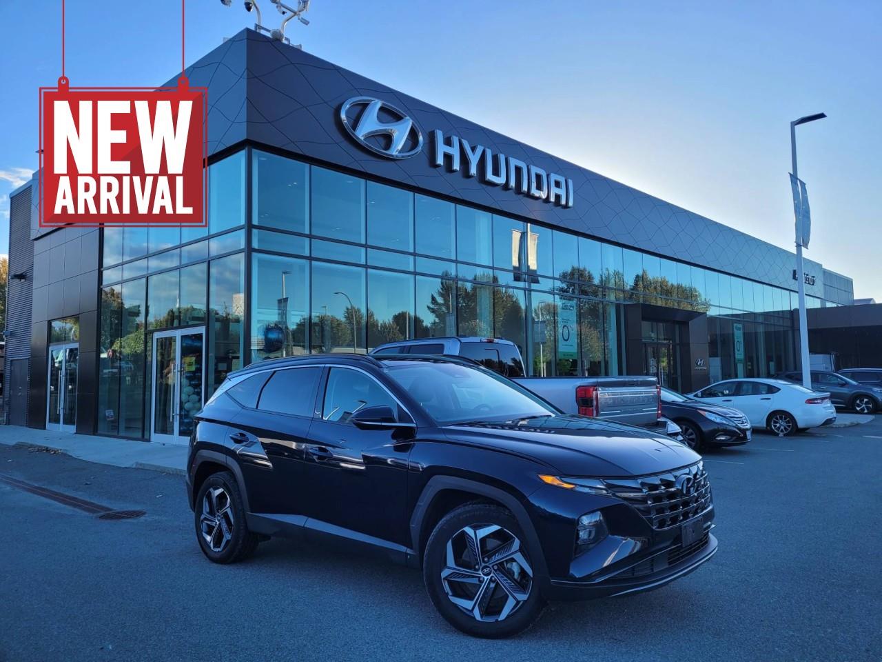 Blue 2022 Hyundai Tucson Hybrid SUV / Crossover 6-Speed Automatic