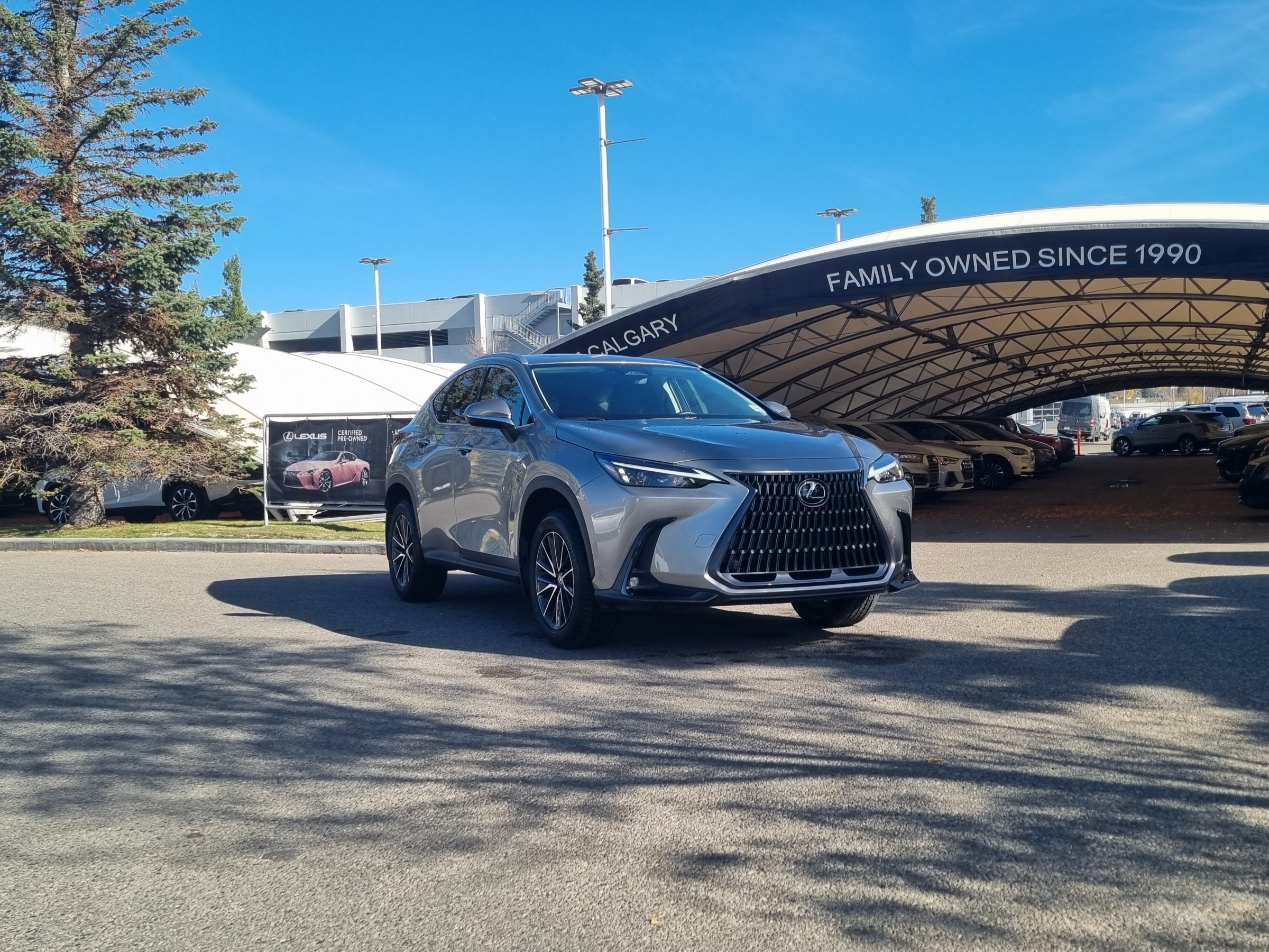 2024 Lexus NX