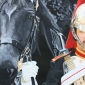 Trooper - The Blues and Royals