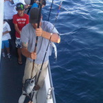 Img00050-20120411-1734