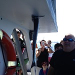 Photo%202013-04-09%2009.34.58%20pm