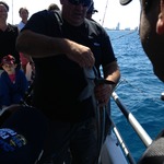 Photo%202013-04-09%2009.35.13%20pm