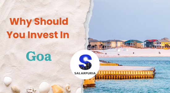 WHY SHOULD YOU INVEST IN GOA