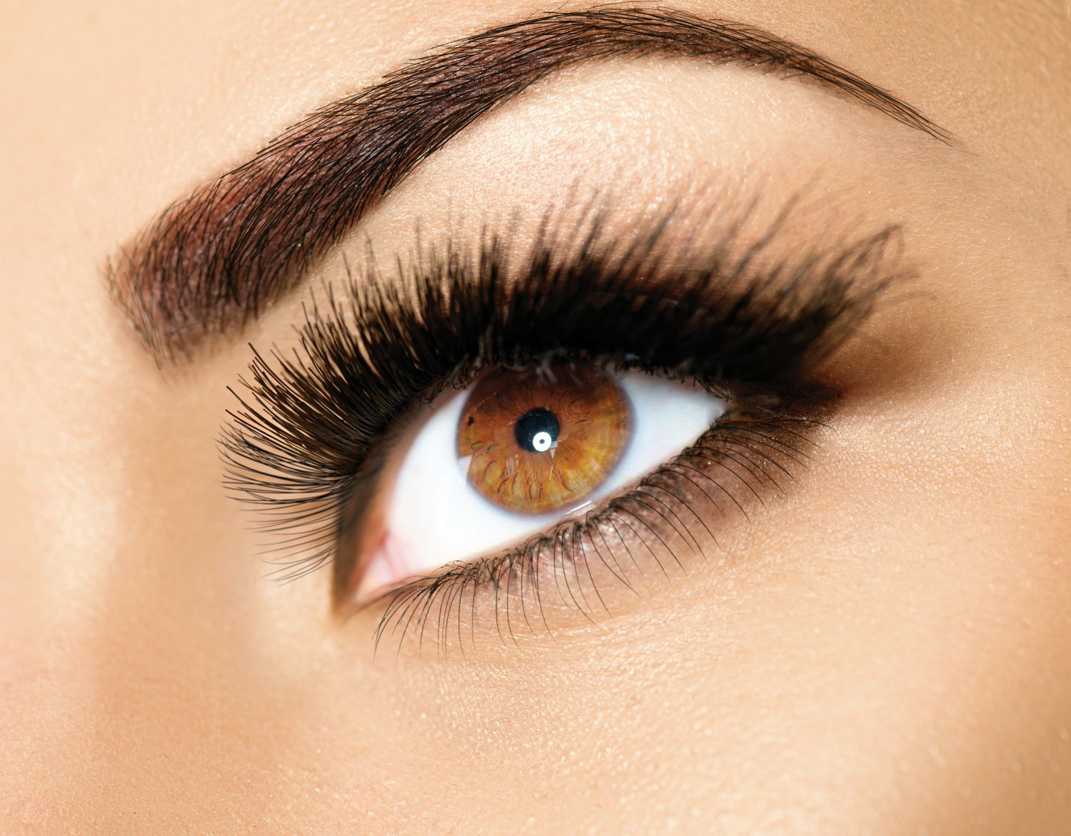 amp up your complete look with our amazing brow and waxing services