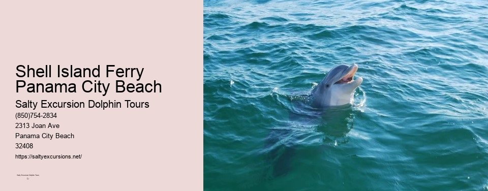 Shell Island Ferry Panama City Beach