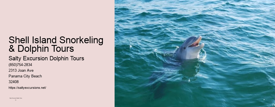 Shell Island Snorkeling & Dolphin Tours