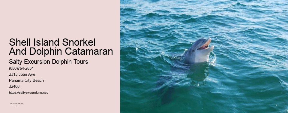 Shell Island Snorkel And Dolphin Catamaran