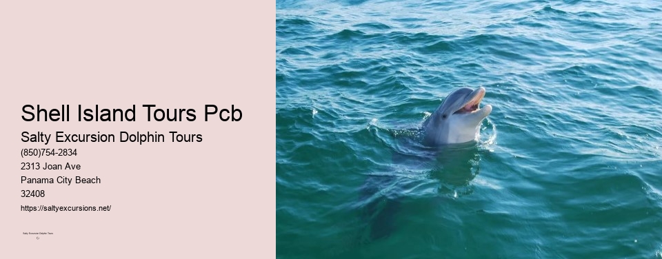 Shell Island Tours Pcb