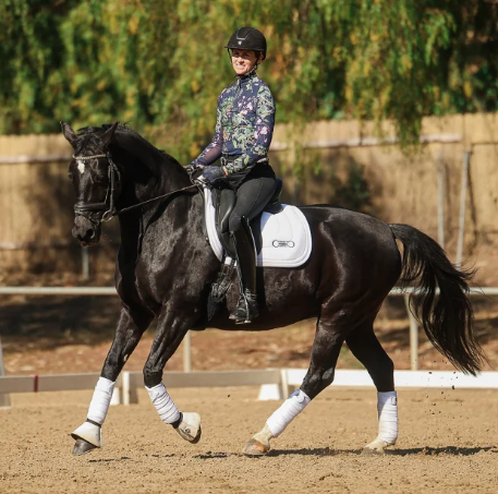 Rider Position Blueprint